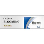 Blooming (2)
