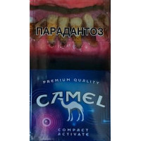 Camel Compact Activate Purple Camel Compact Activate Purple